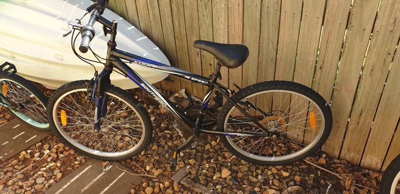 mens bikes for sale gumtree